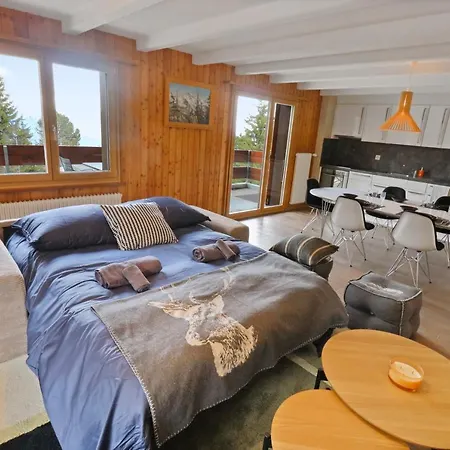 Magnifique Au Coeur Des 4 Vallees Ле-Коллон